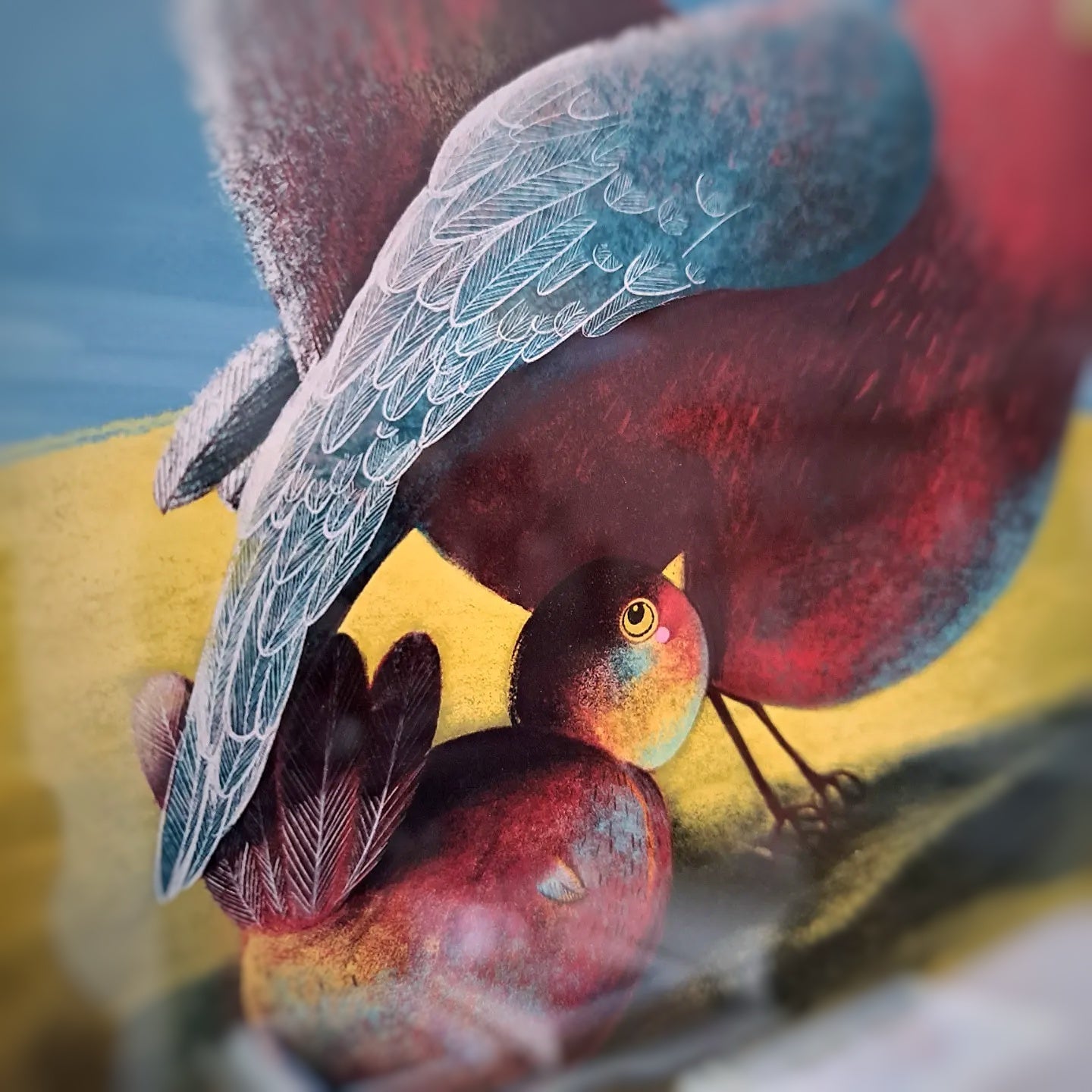 Tirage d'art "Les oiseaux" 100% coton A4
